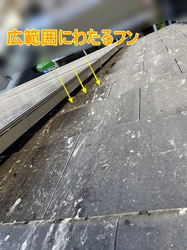 太陽光パネル　鳥被害　巣　ソーラー